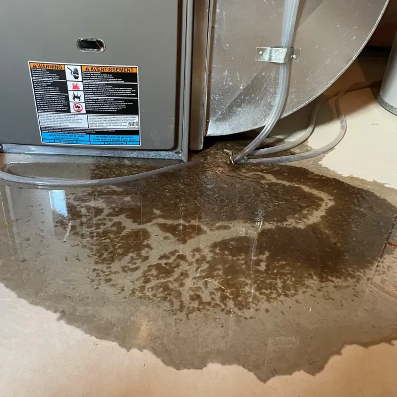 Appliance Leak Cleanup in Huntertown, IN